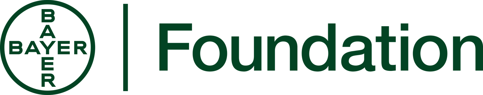 Bayer Foundation